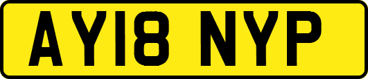 AY18NYP