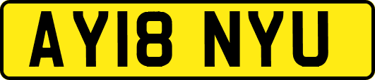 AY18NYU