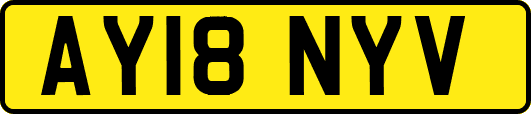 AY18NYV