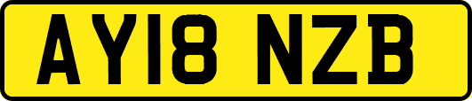 AY18NZB