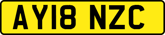 AY18NZC
