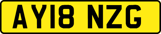 AY18NZG