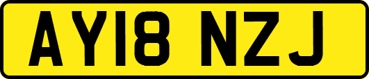 AY18NZJ