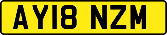 AY18NZM