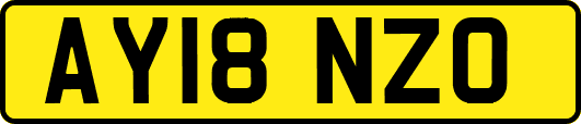 AY18NZO