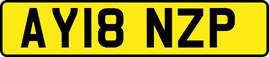 AY18NZP