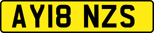 AY18NZS