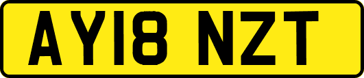 AY18NZT
