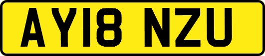 AY18NZU