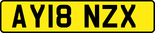 AY18NZX