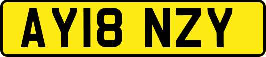 AY18NZY