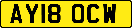 AY18OCW