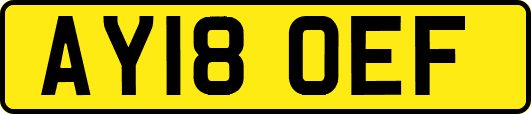AY18OEF
