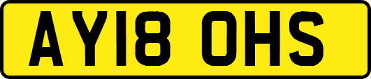 AY18OHS