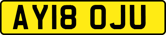 AY18OJU