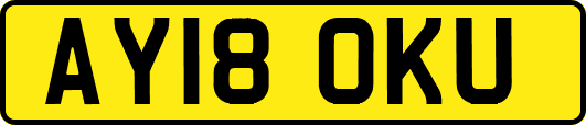 AY18OKU
