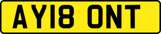AY18ONT