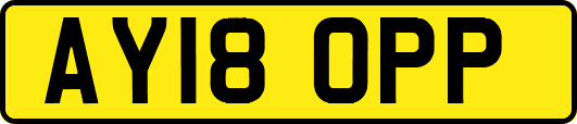 AY18OPP