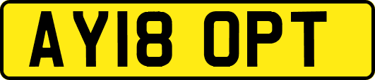 AY18OPT