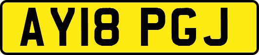 AY18PGJ