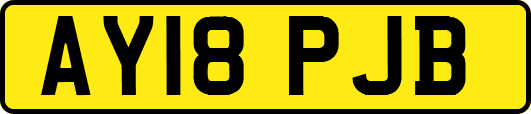 AY18PJB