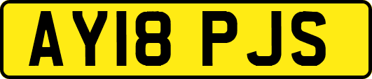 AY18PJS