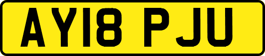 AY18PJU
