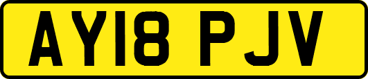 AY18PJV
