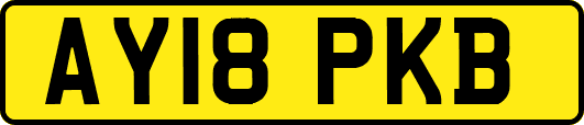 AY18PKB