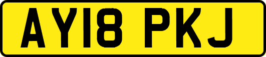 AY18PKJ