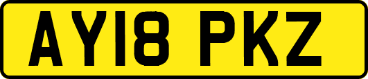 AY18PKZ