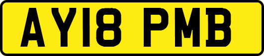AY18PMB