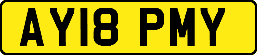 AY18PMY