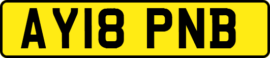 AY18PNB