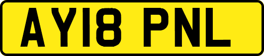 AY18PNL