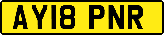AY18PNR
