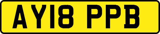 AY18PPB