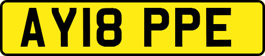 AY18PPE