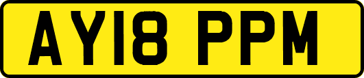 AY18PPM