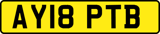 AY18PTB