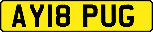 AY18PUG