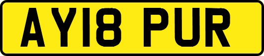 AY18PUR