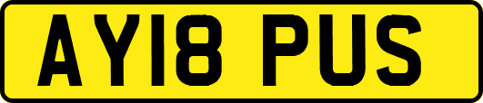AY18PUS