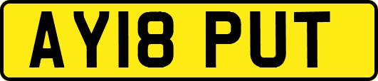 AY18PUT