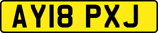 AY18PXJ