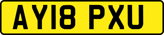 AY18PXU
