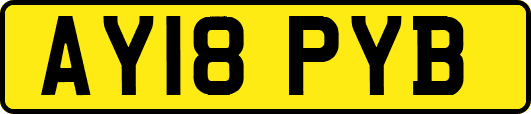AY18PYB