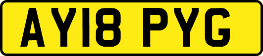 AY18PYG