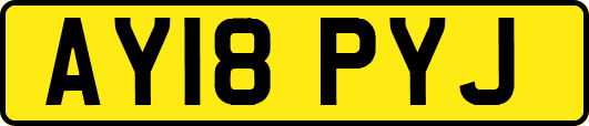 AY18PYJ