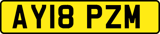 AY18PZM